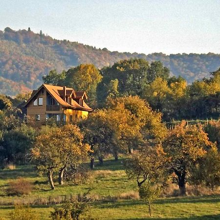 Casa Zollo Διαμέρισμα Sălişte Εξωτερικό φωτογραφία