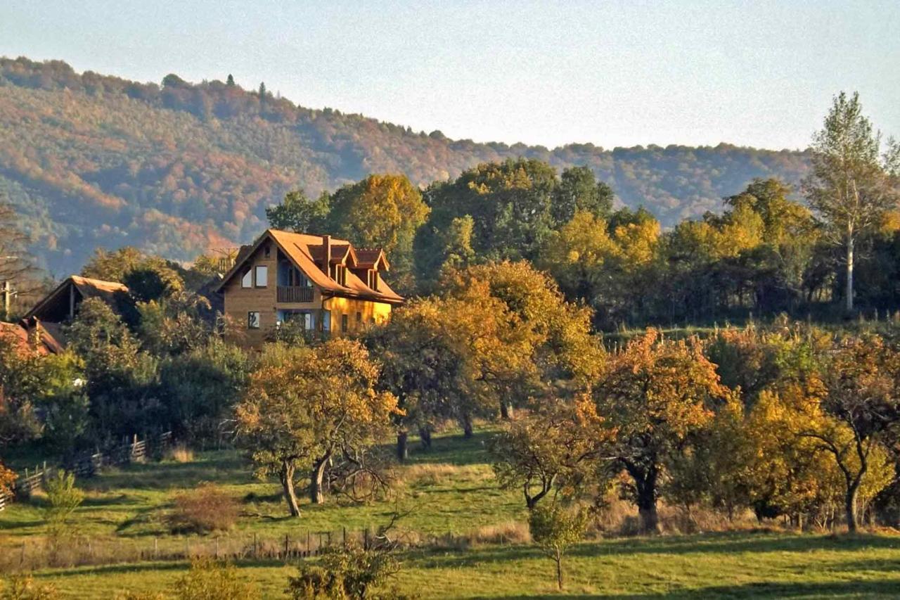 Casa Zollo Διαμέρισμα Sălişte Εξωτερικό φωτογραφία