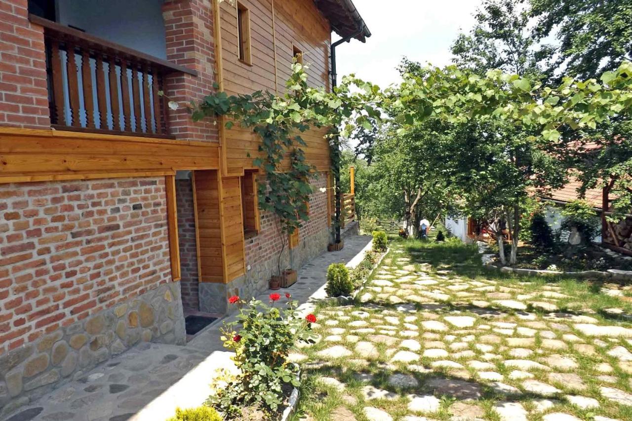 Casa Zollo Διαμέρισμα Sălişte Εξωτερικό φωτογραφία