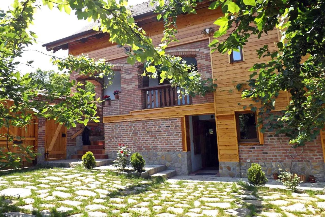 Casa Zollo Διαμέρισμα Sălişte Εξωτερικό φωτογραφία