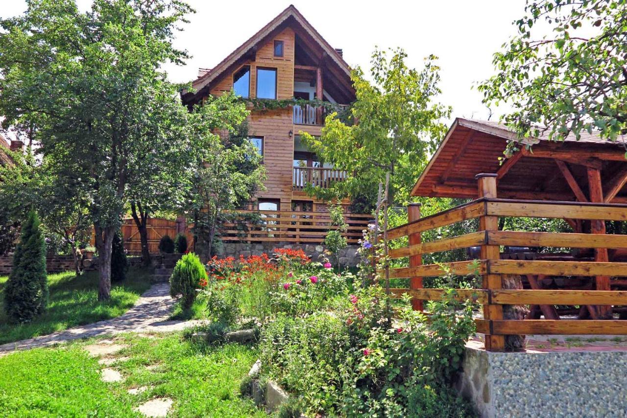 Casa Zollo Διαμέρισμα Sălişte Εξωτερικό φωτογραφία