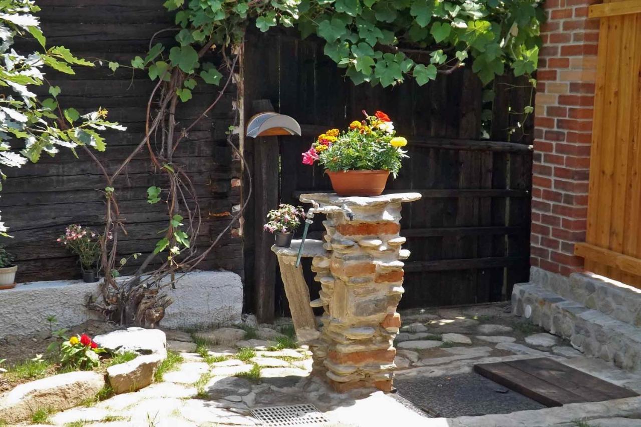 Casa Zollo Διαμέρισμα Sălişte Εξωτερικό φωτογραφία