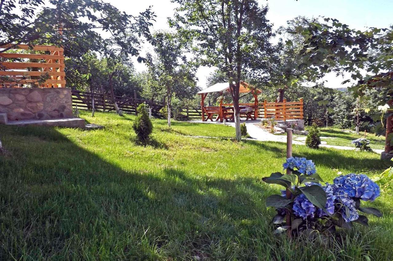 Casa Zollo Διαμέρισμα Sălişte Εξωτερικό φωτογραφία