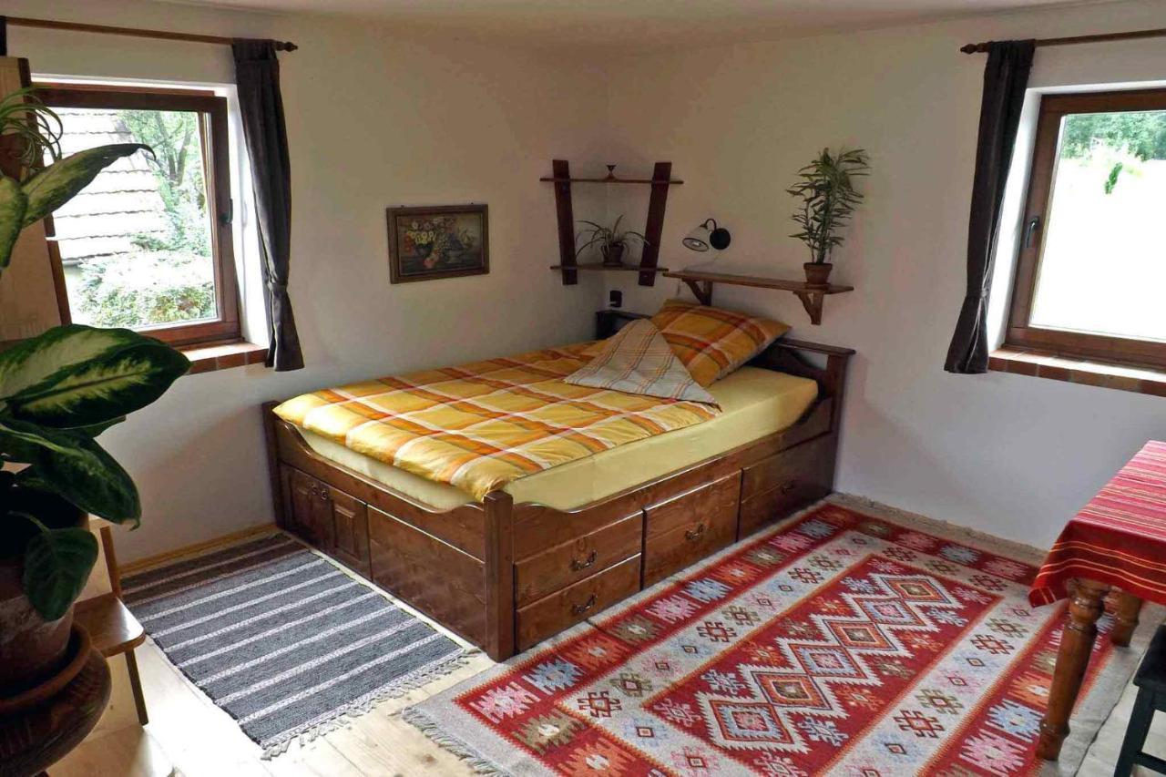 Casa Zollo Διαμέρισμα Sălişte Εξωτερικό φωτογραφία