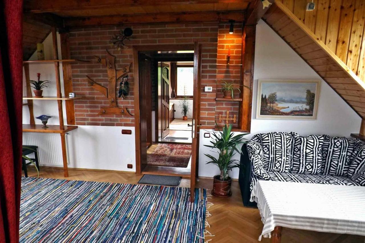 Casa Zollo Διαμέρισμα Sălişte Εξωτερικό φωτογραφία