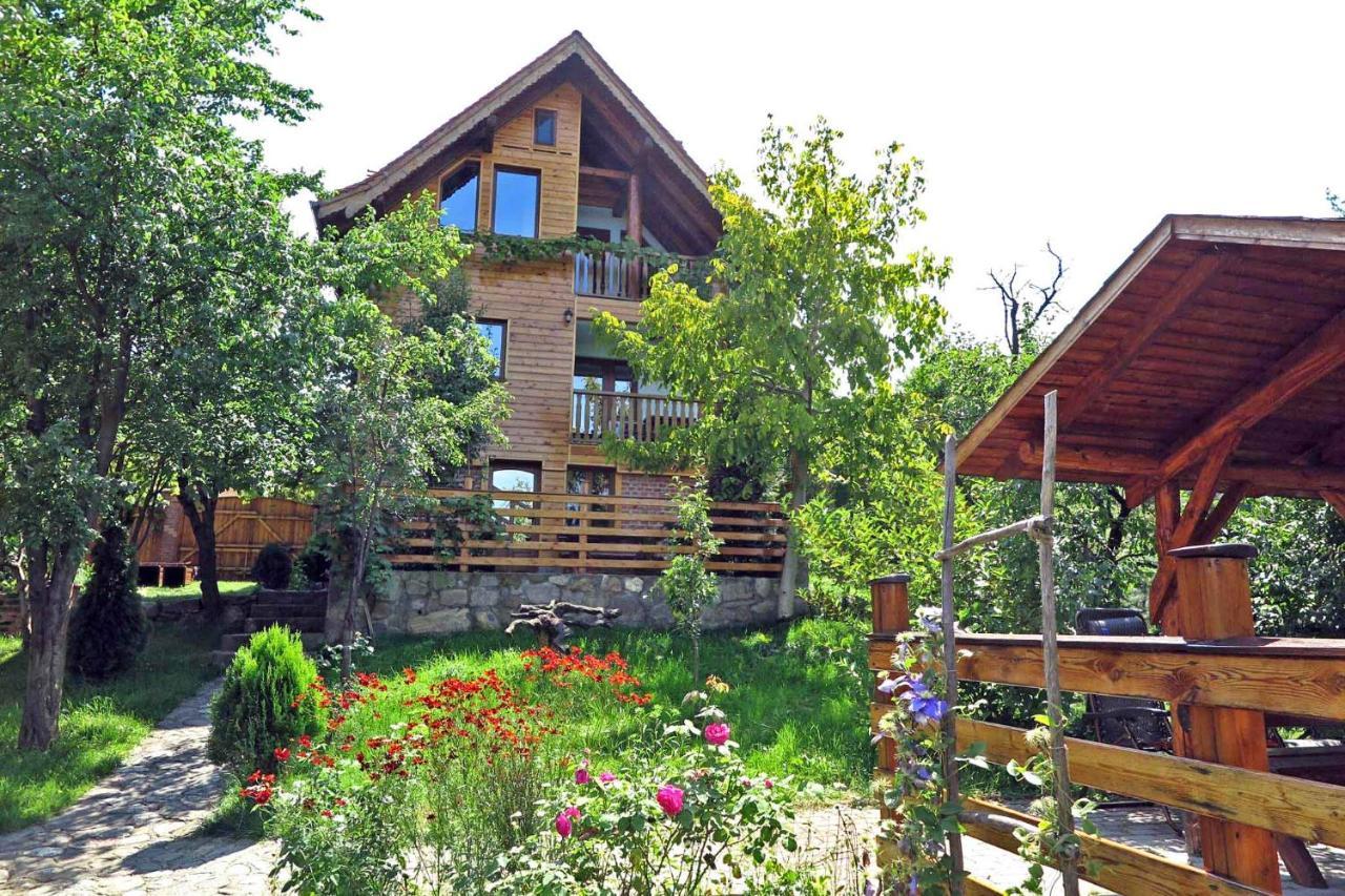 Casa Zollo Διαμέρισμα Sălişte Εξωτερικό φωτογραφία