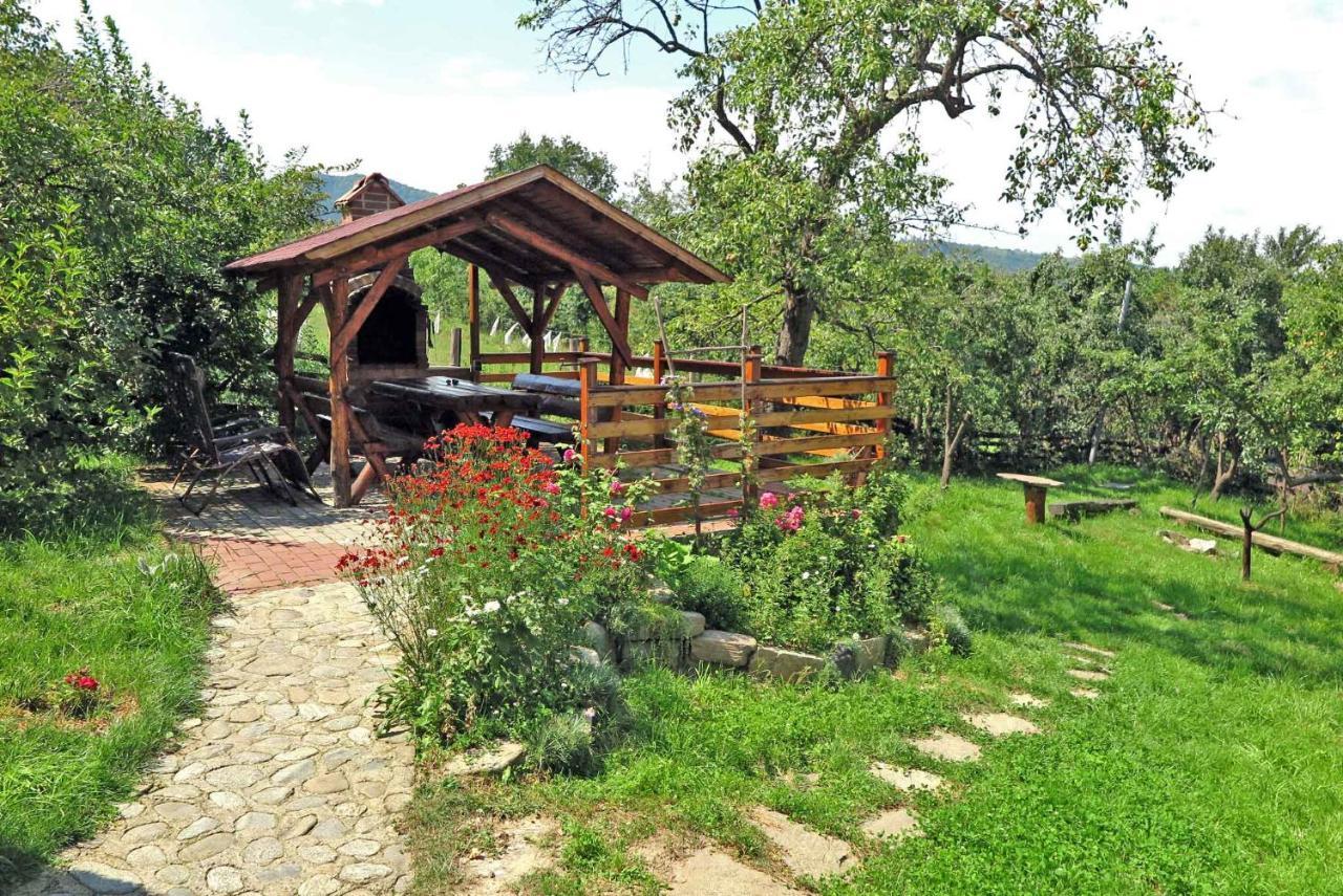 Casa Zollo Διαμέρισμα Sălişte Εξωτερικό φωτογραφία