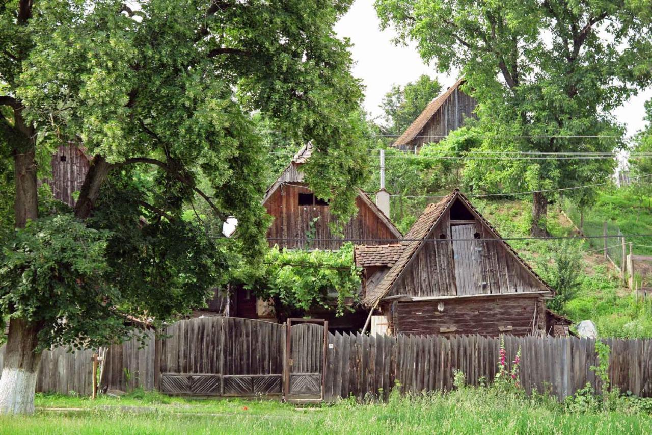 Casa Zollo Διαμέρισμα Sălişte Εξωτερικό φωτογραφία