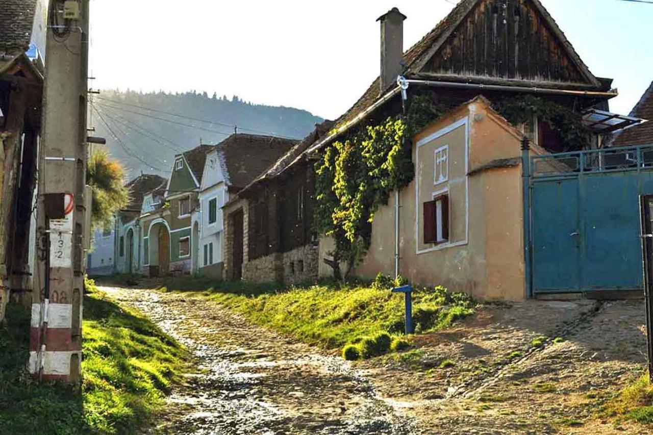 Casa Zollo Διαμέρισμα Sălişte Εξωτερικό φωτογραφία