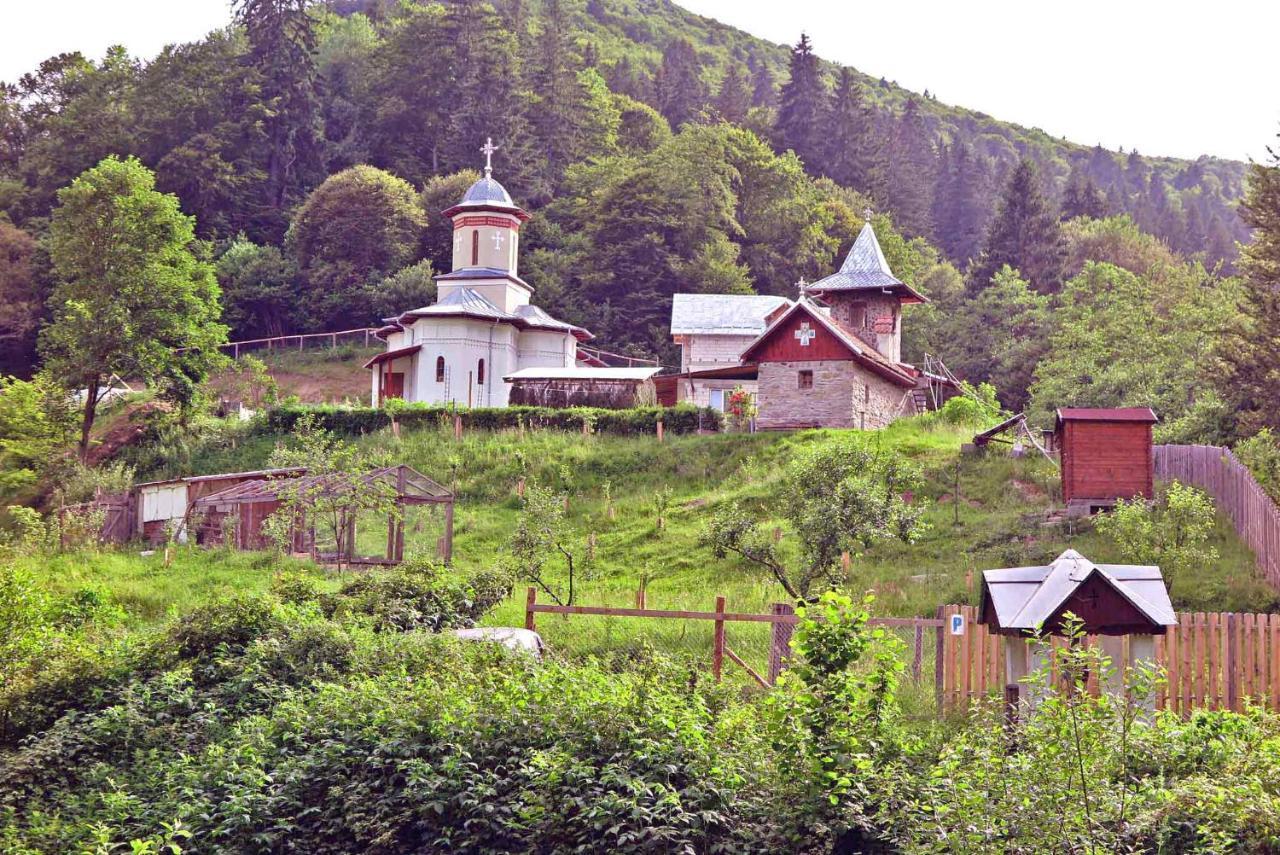 Casa Zollo Διαμέρισμα Sălişte Εξωτερικό φωτογραφία