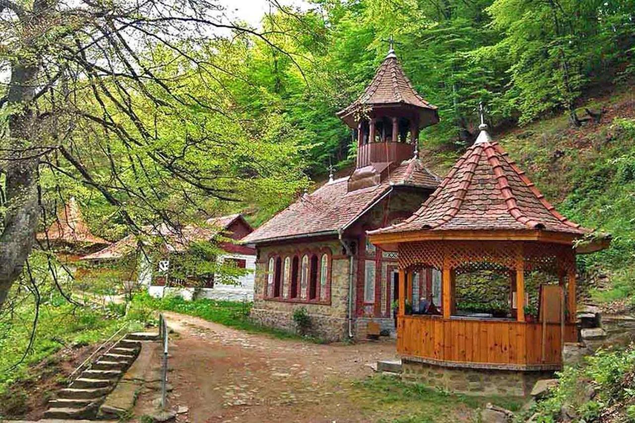 Casa Zollo Διαμέρισμα Sălişte Εξωτερικό φωτογραφία
