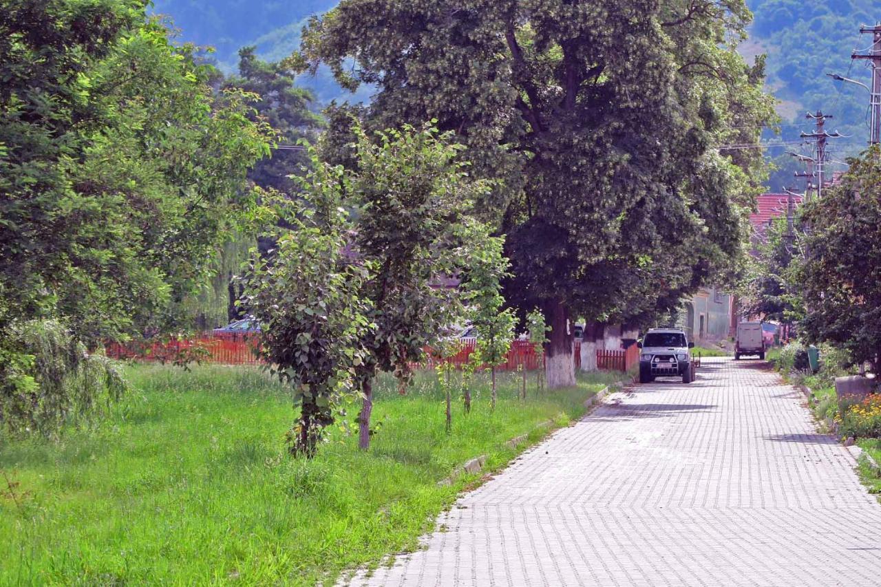 Casa Zollo Διαμέρισμα Sălişte Εξωτερικό φωτογραφία