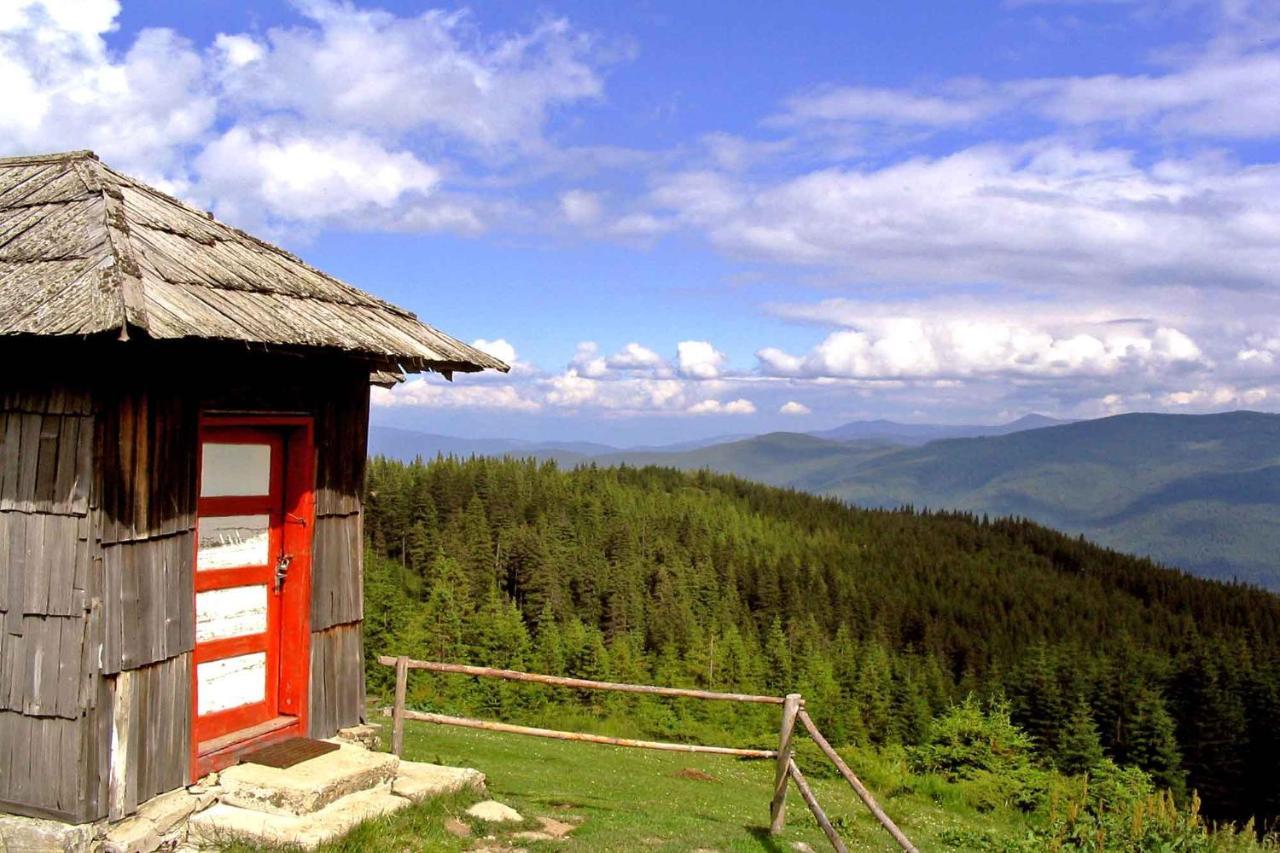 Casa Zollo Διαμέρισμα Sălişte Εξωτερικό φωτογραφία
