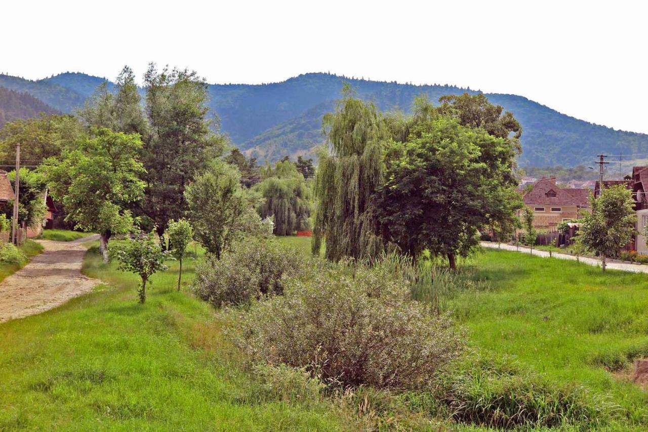 Casa Zollo Διαμέρισμα Sălişte Εξωτερικό φωτογραφία
