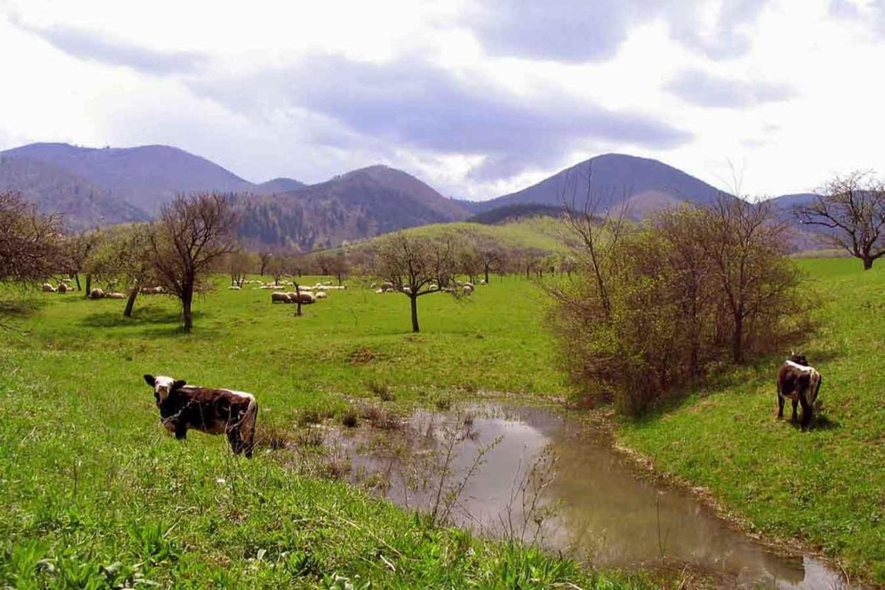 Casa Zollo Διαμέρισμα Sălişte Εξωτερικό φωτογραφία