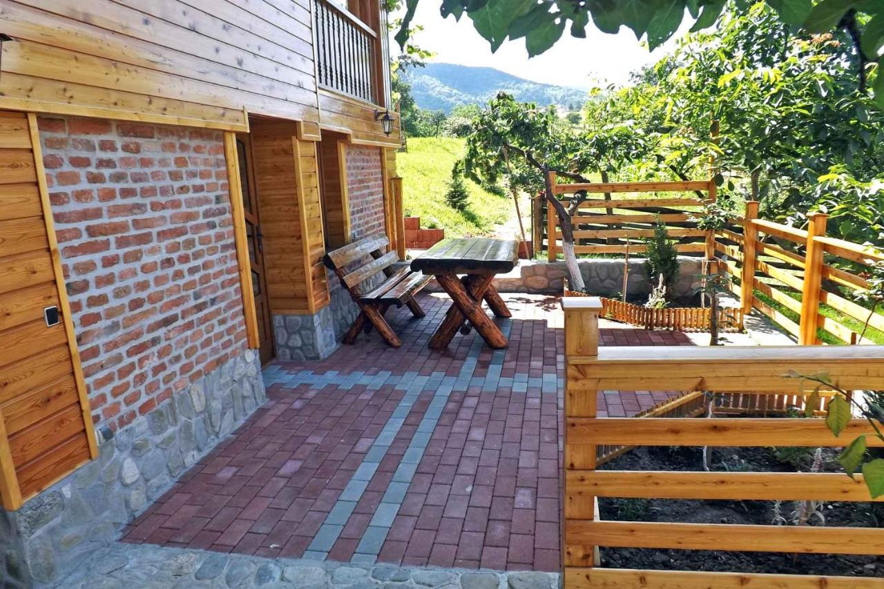 Casa Zollo Διαμέρισμα Sălişte Εξωτερικό φωτογραφία