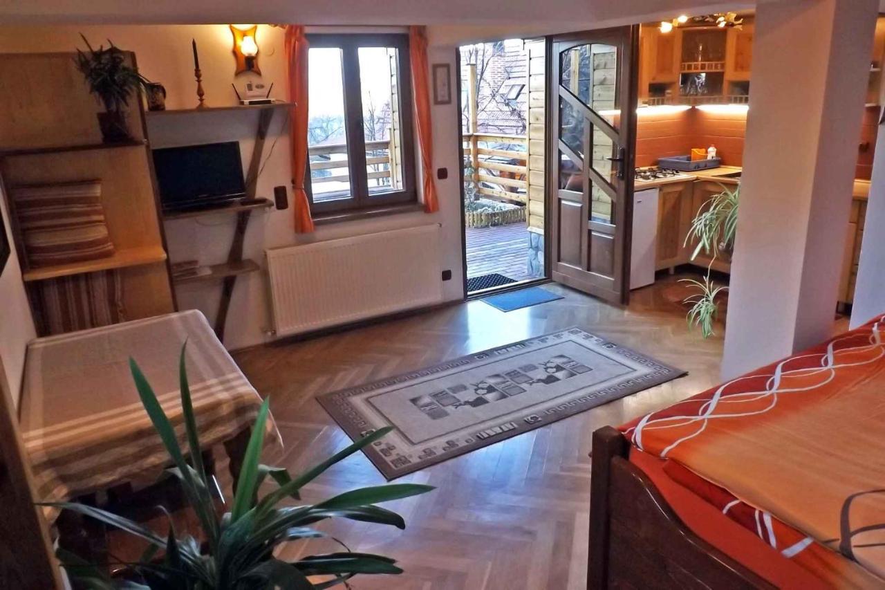 Casa Zollo Διαμέρισμα Sălişte Εξωτερικό φωτογραφία